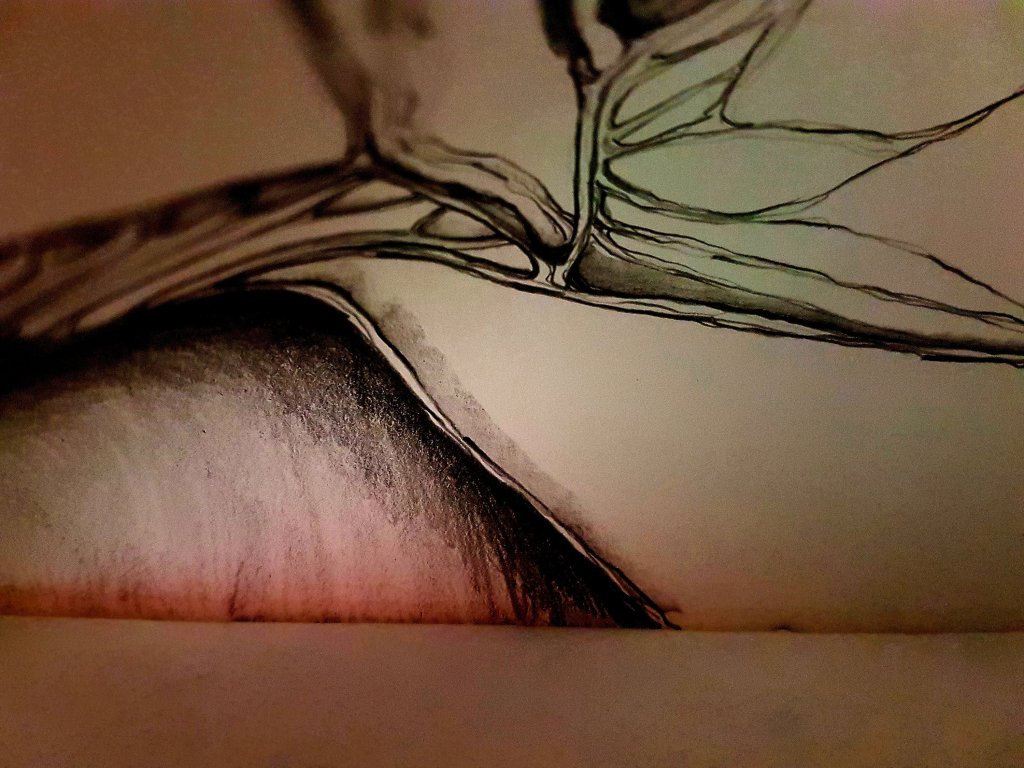 «Nota de un día&nbsp;posible»