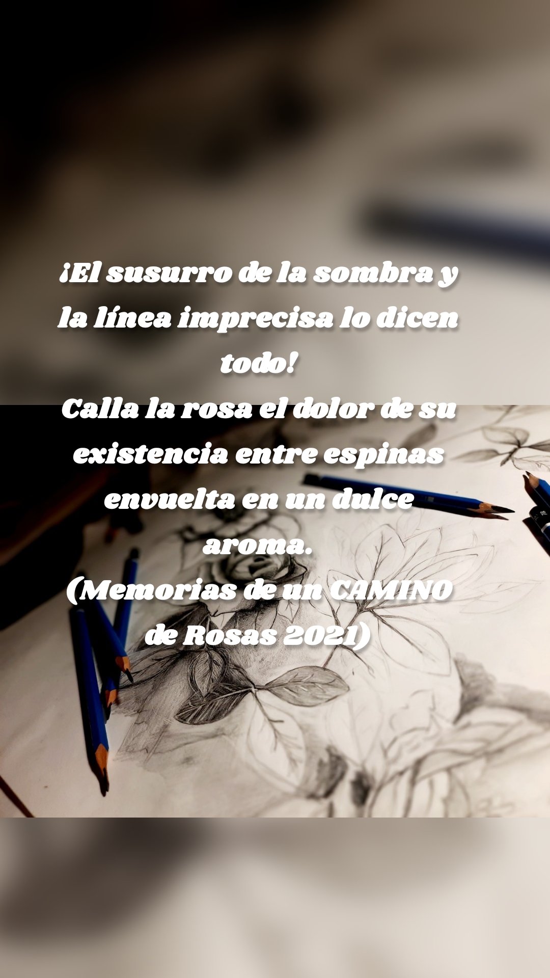 ¡El susurro de la sombra y la línea imprecisa lo dicen todo!
Calla la rosa el dolor de su existencia entre espinas envuelta en un dulce aroma.
(Memorias de un CAMINO de Rosas 2021)