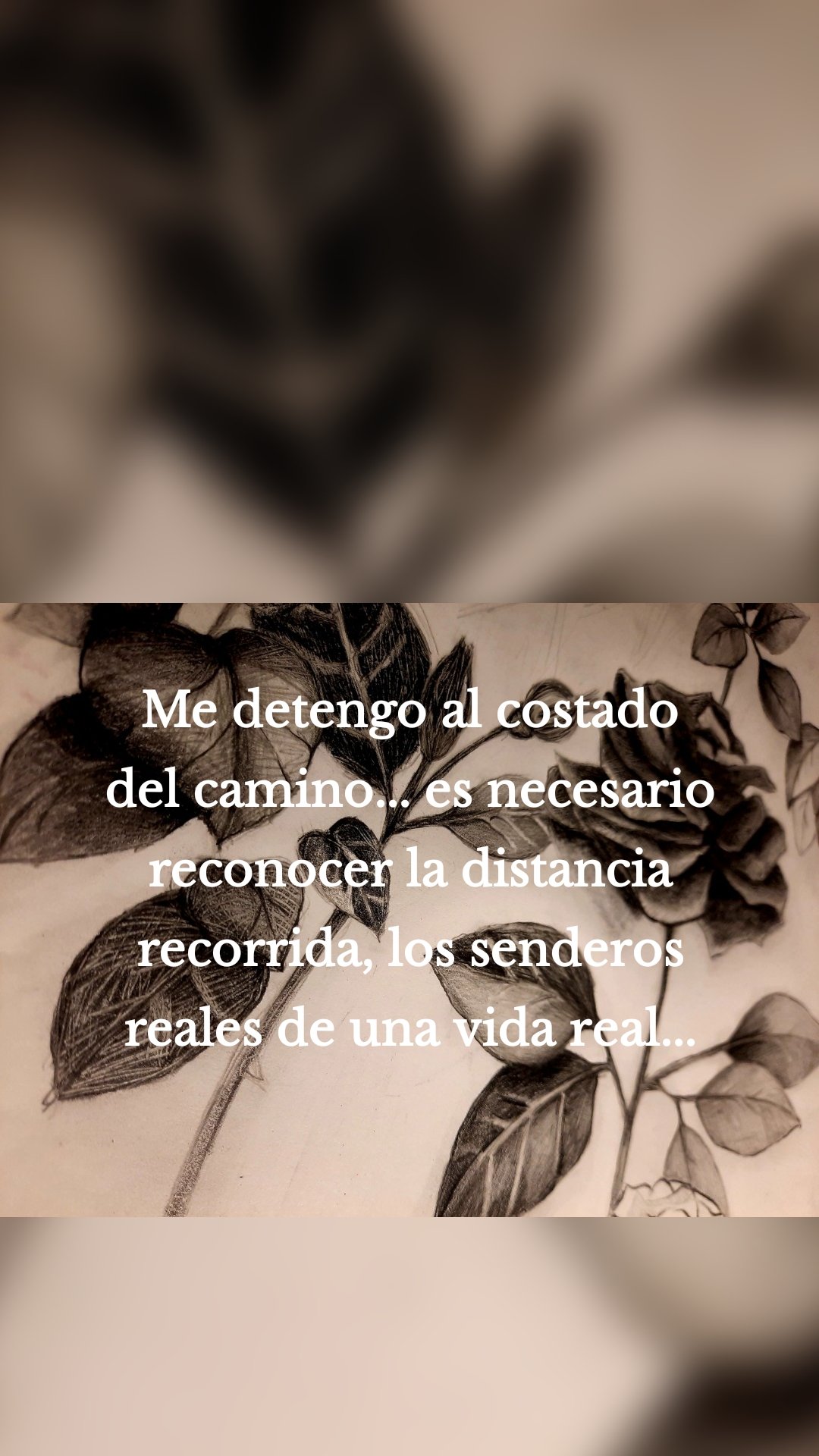 Me detengo al costado del camino... es necesario reconocer la distancia recorrida, los senderos reales de una vida real...
