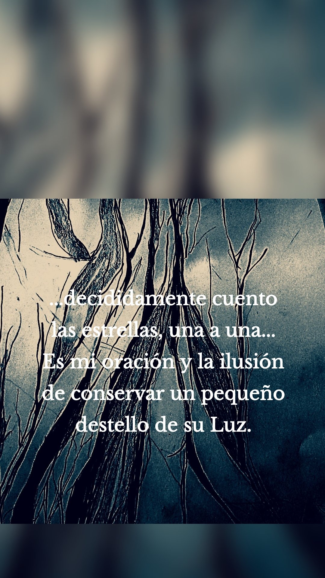 ...decididamente cuento las estrellas, una a una...
Es mi oración y la ilusión de conservar un pequeño destello de su Luz.