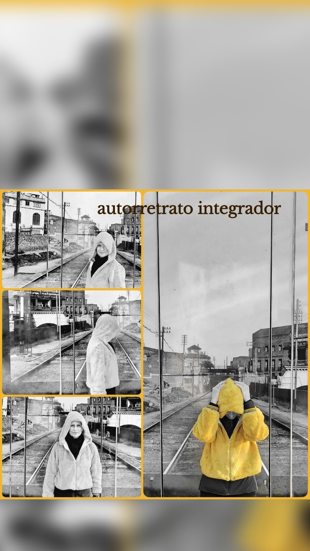 autorretrato integrador
