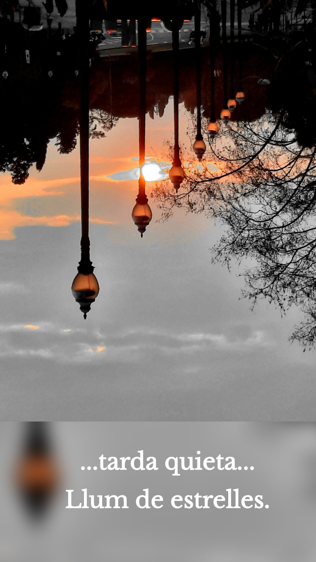 ...tarda quieta...
Llum de estrelles.