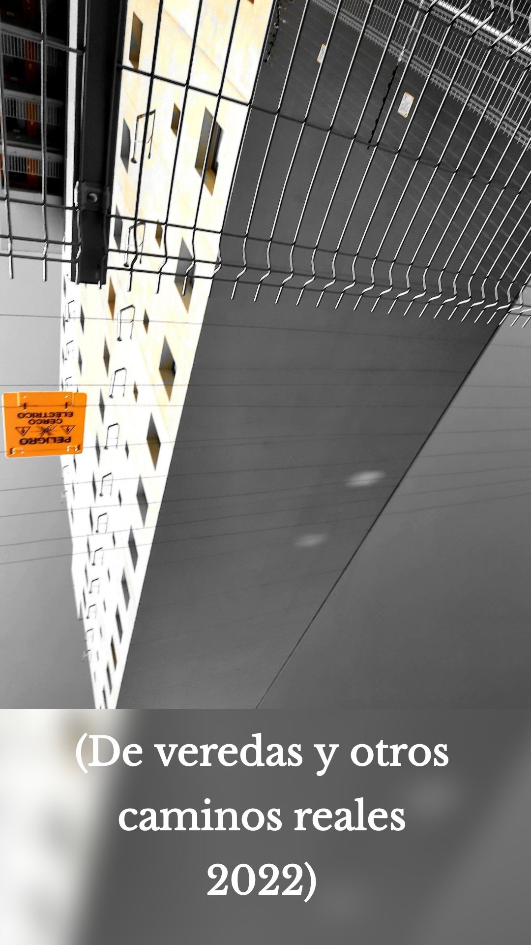 (De veredas y otros caminos reales 2022)