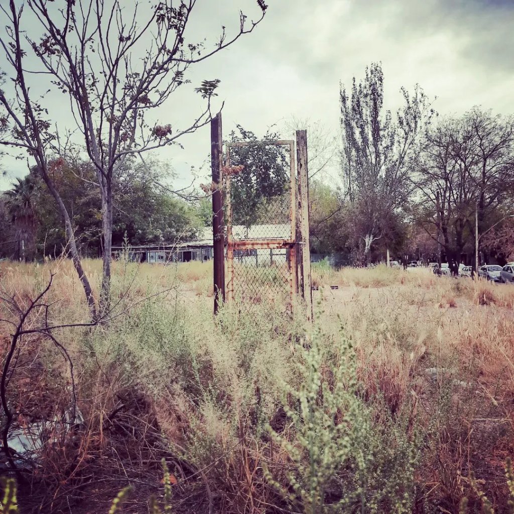 Instantáneas del Camino