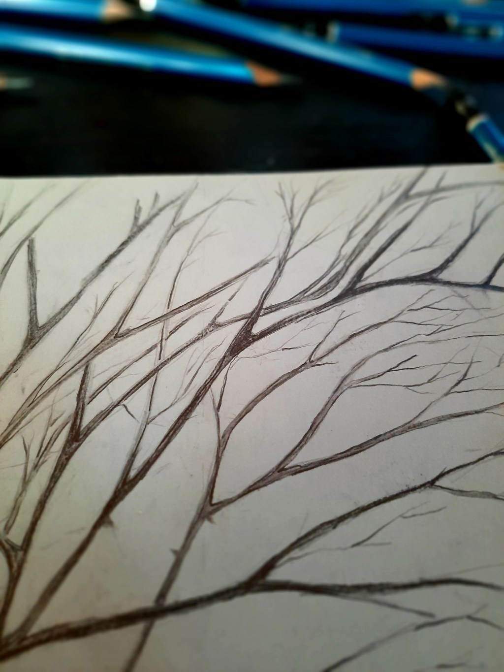 Boceto y el encanto de la&nbsp;maleza