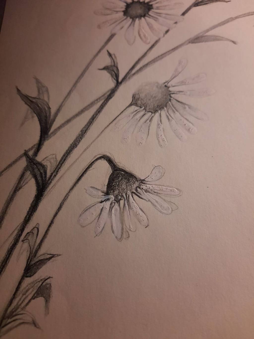 Recuerdo de un día de&nbsp;Camino