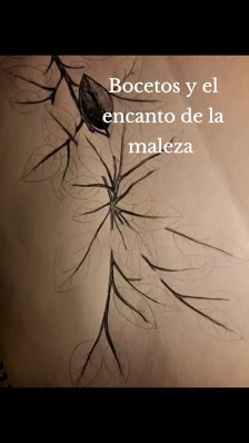 Bocetos y el encanto de la maleza 