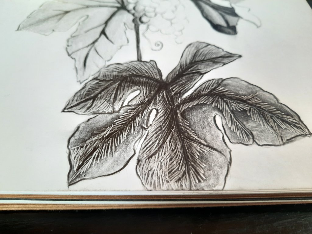 El Camino de las&nbsp;uvas.