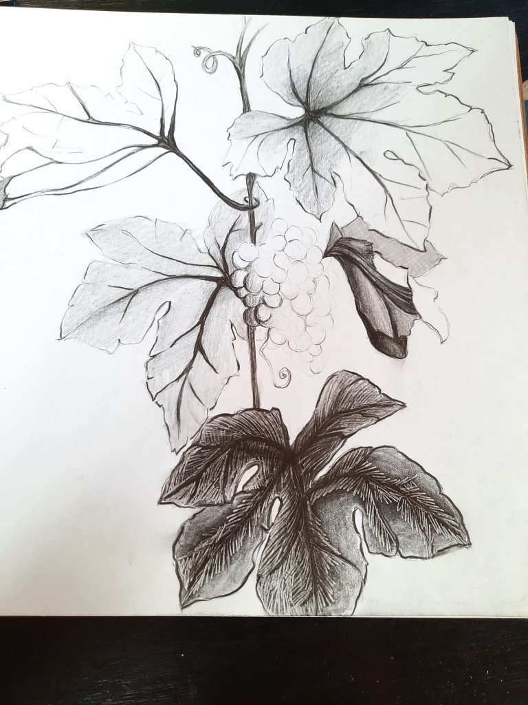 La imagen tiene un atributo ALT vacío; su nombre de archivo es wp-165931001284767754013213807999.jpg