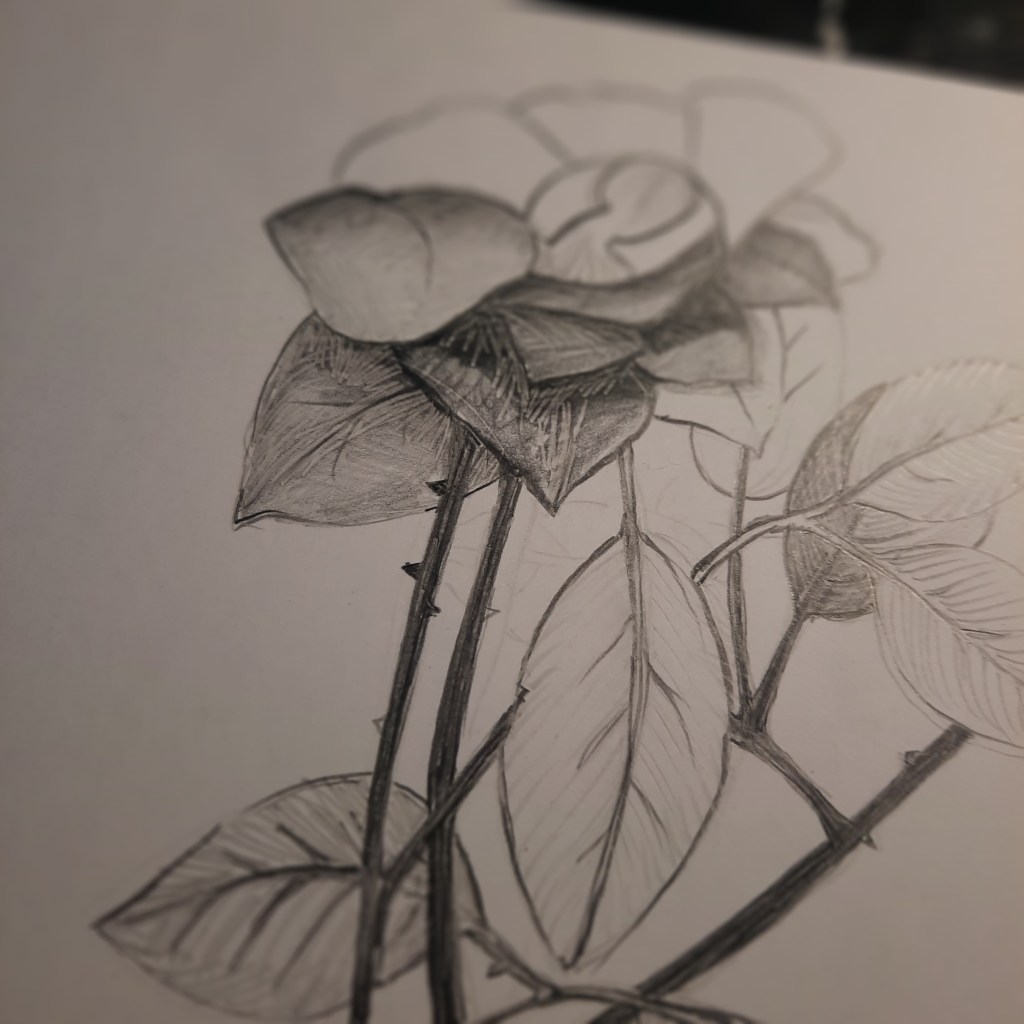 Boceto en una tarde de invierno