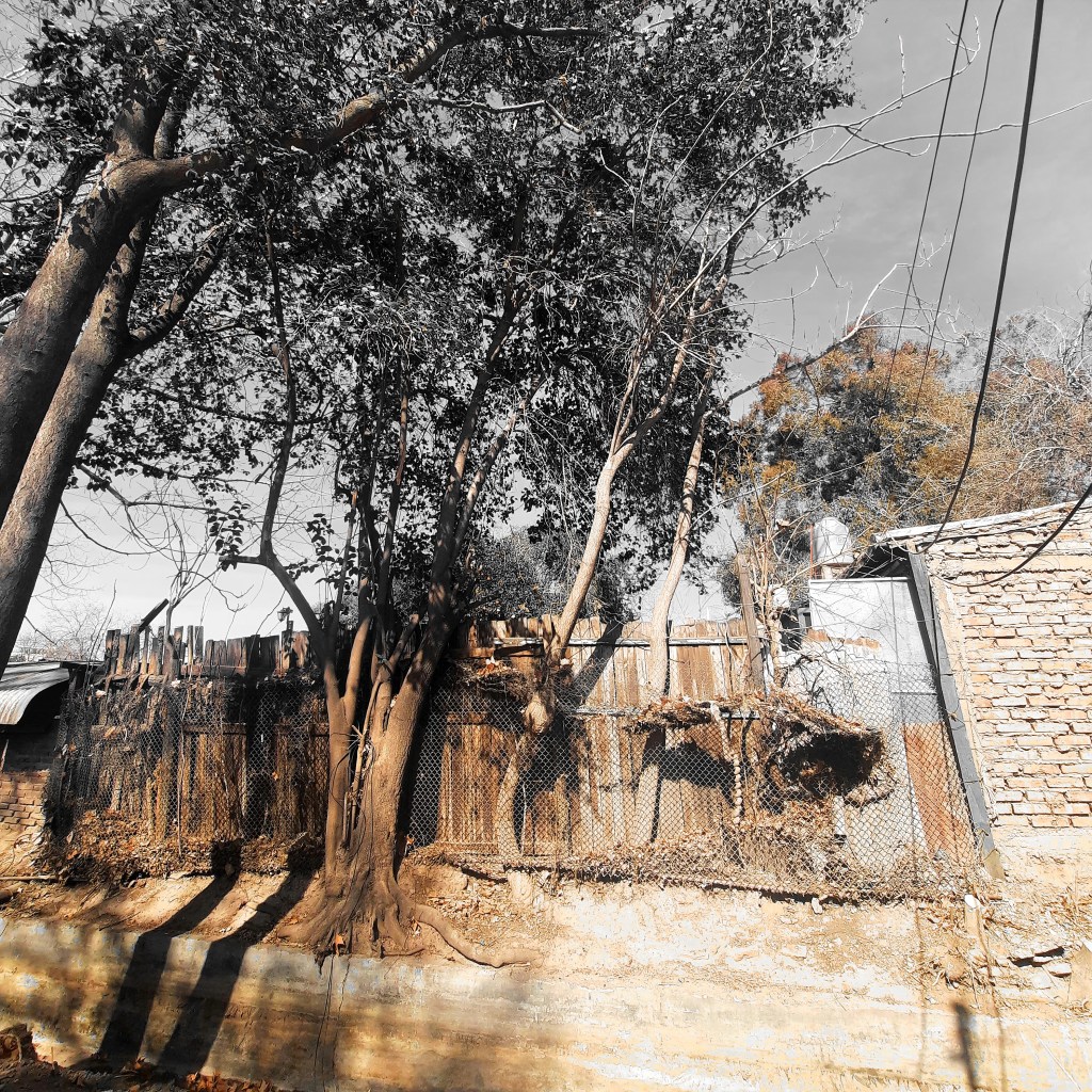 La ciudad desde&nbsp;atrás