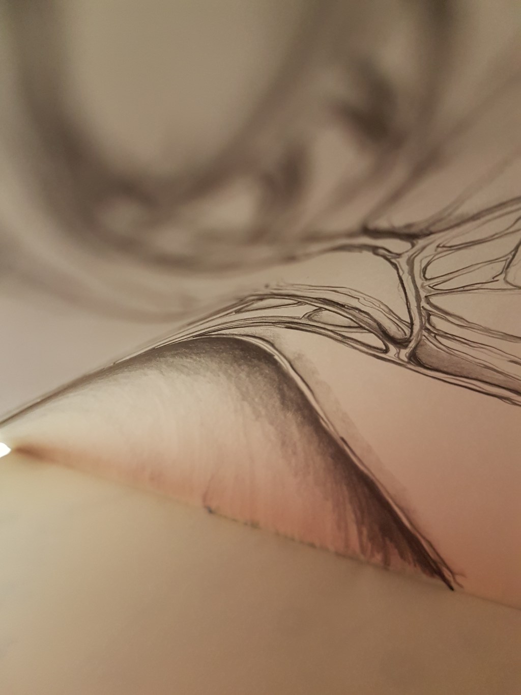 La obra prima de&nbsp;Dios