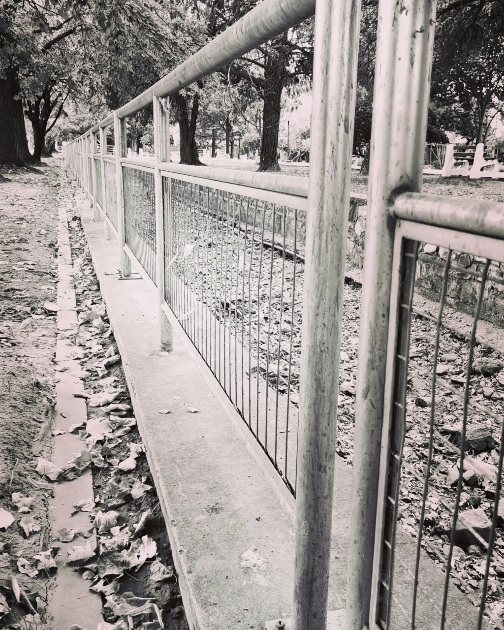 ¡Barrotes decidores!