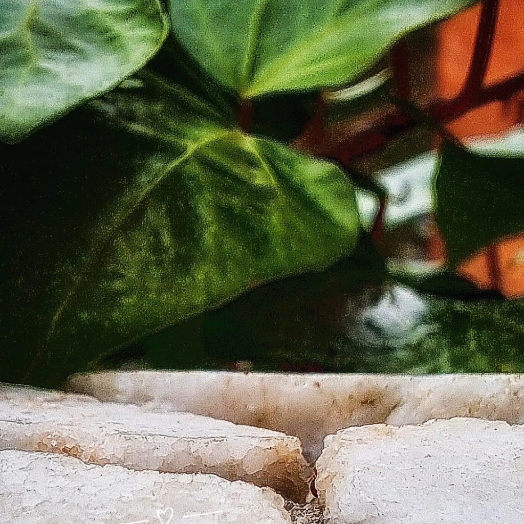 Con una mirada de&nbsp;hormiga.