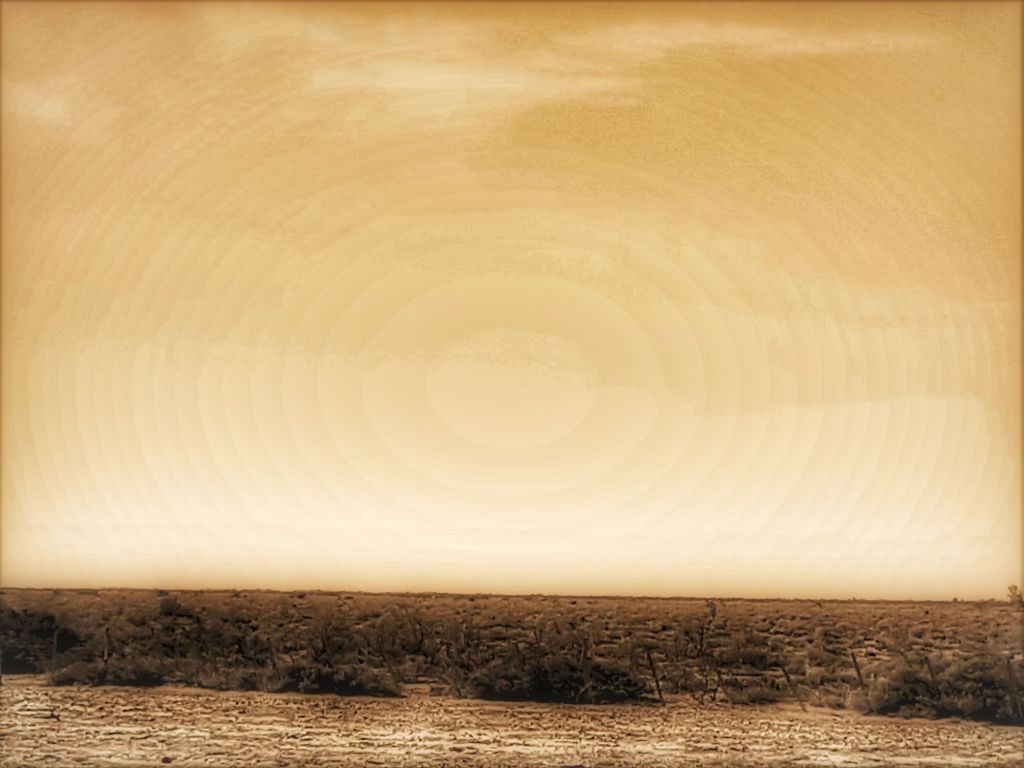 La belleza escondida